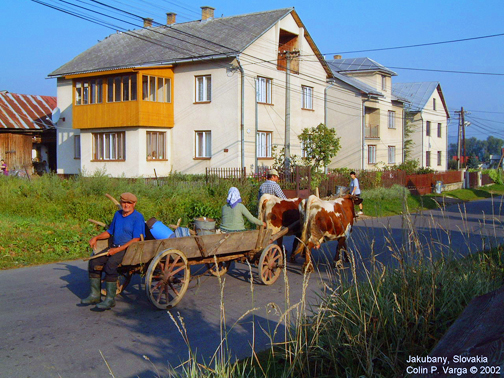 Villagers Returning Home from the Fields