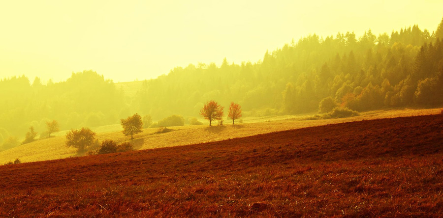 Hillside near Matysova Early Morning