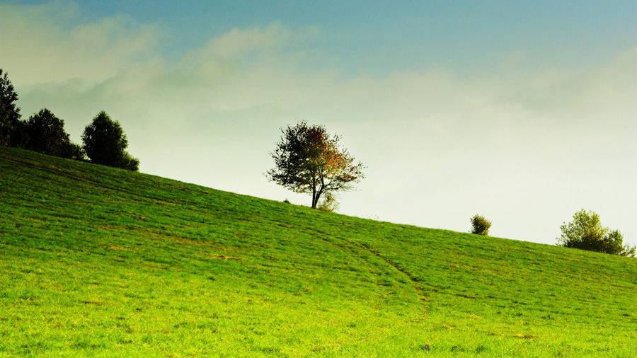 Hillside near Matysova