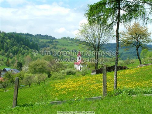 Field Behind the Church