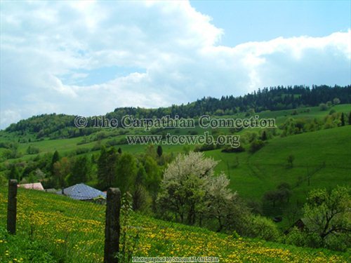 Area Surrounding the Church