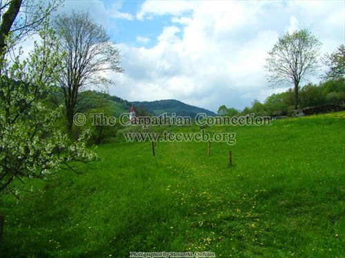 Path to the Cemetery