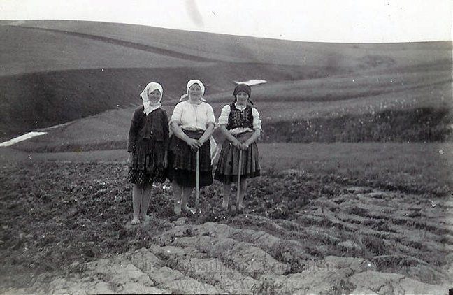 Village Women work the fields (Near Orlov)
