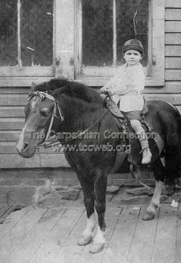 Steve Biss Delivery Newspapers