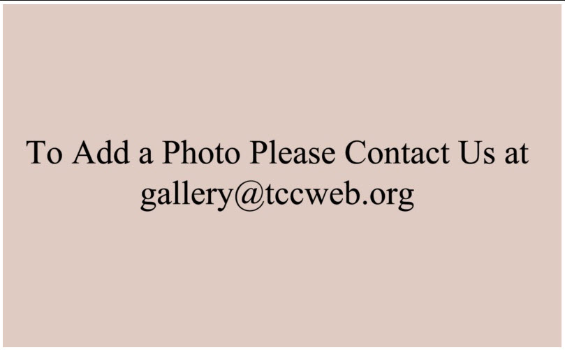 Theresa Osifchin nee Bily 1895-1989