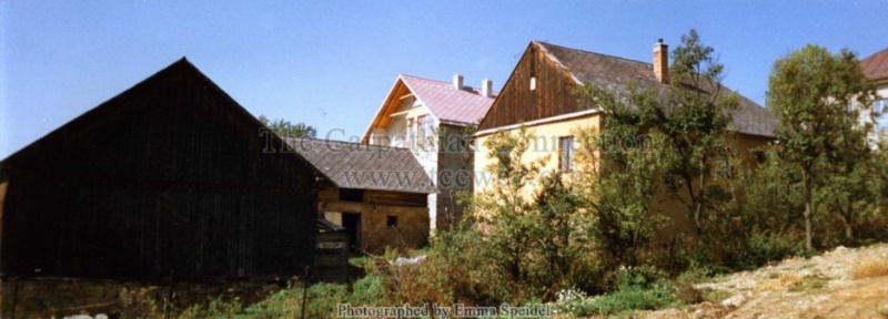 Osifchin House Backyard