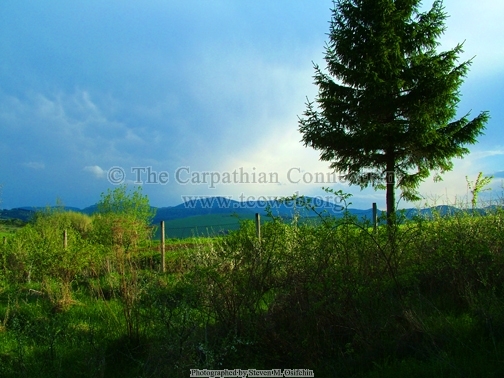 View from the Cemetery